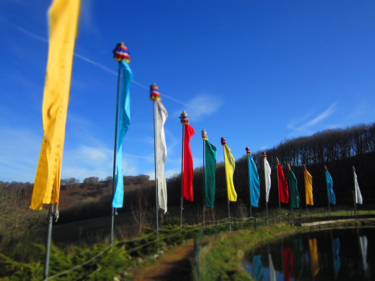 Still Flowing Yoga Méditation Mindfulness Charlotte Morin Poubeau