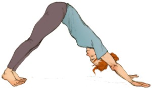 chien-tete-en-bas_adulte